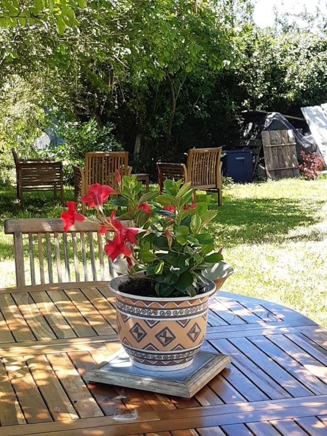 Chez Mialaret Bed & Breakfast Tourniac Екстериор снимка